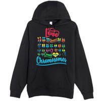 Love Doesn't Count Chromosomes Premium Pullover Hoodie