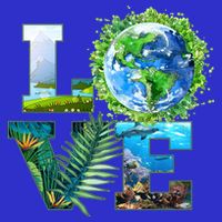 LOVE Earth Day Celebration Ladies Essential Flowy Tank