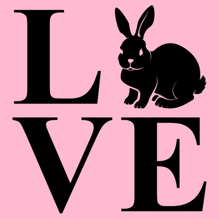 Love Easter Bunny Rabbit Hoodie