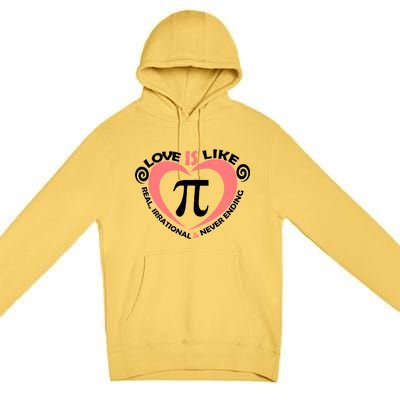 Love Is Like  PI Premium Pullover Hoodie