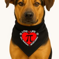 Love Is Like Pi Valentines USA-Made Doggie Bandana