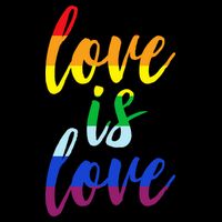 Love Is Love Women's V-Neck T-Shirt
