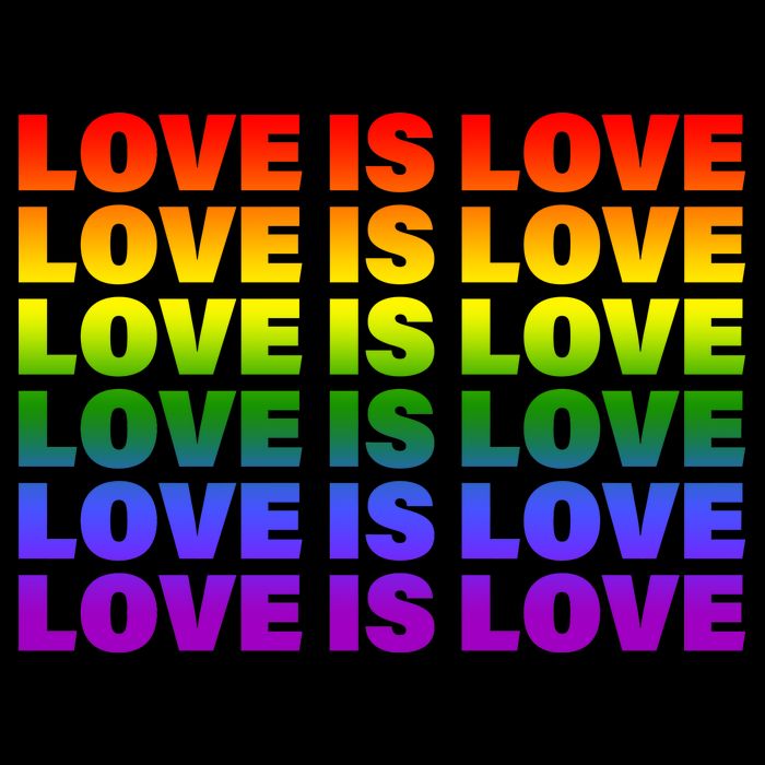 Love Is Love LGBTQ Rainbow Wool Snapback Cap