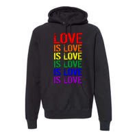 Love Is Love Rainbow Colors Premium Hoodie