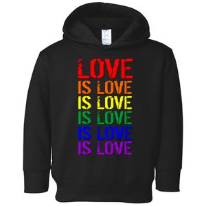 Love Is Love Rainbow Colors Toddler Hoodie