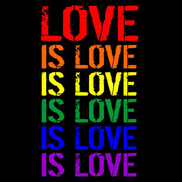 Love Is Love Rainbow Colors Womens T-Shirt