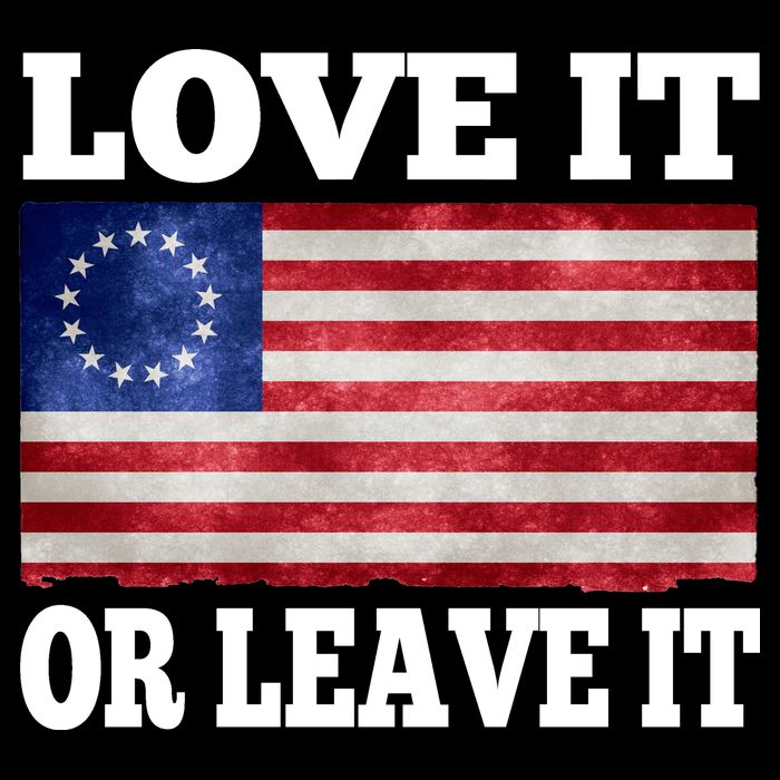 Love It Or Leave It Betsy Ross Flag Button