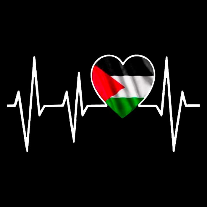 Love Pakistan Flag Heartbeat Pulse Button