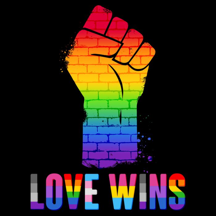 Love Wins Brick Wall Rainbow Fist Sustainable Bucket Hat
