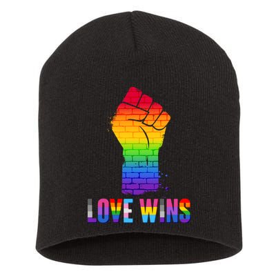 Love Wins Brick Wall Rainbow Fist Short Acrylic Beanie