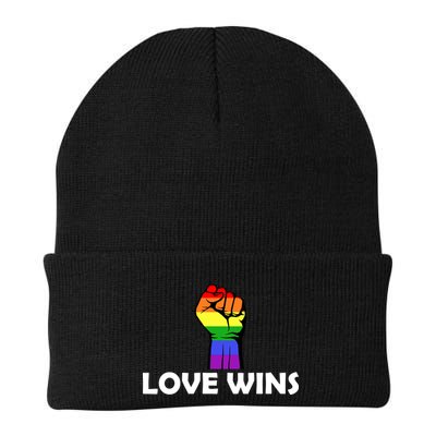 Love Wins Fist Gay Pride Beanie