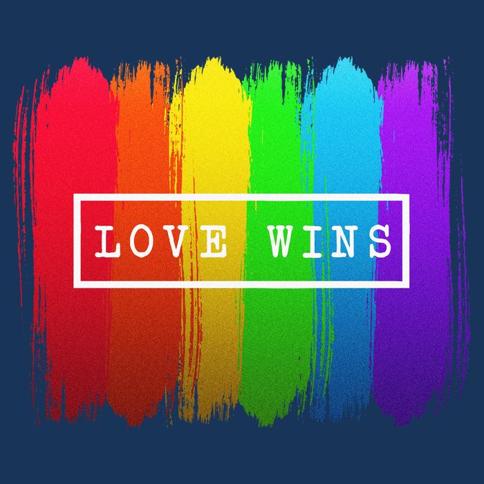Love Wins Flag T-Shirt