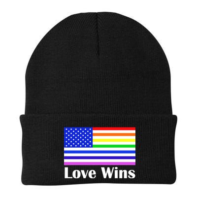 Love Wins Flag Gay Pride Beanie