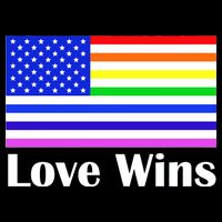 Love Wins Flag Gay Pride Tank Top