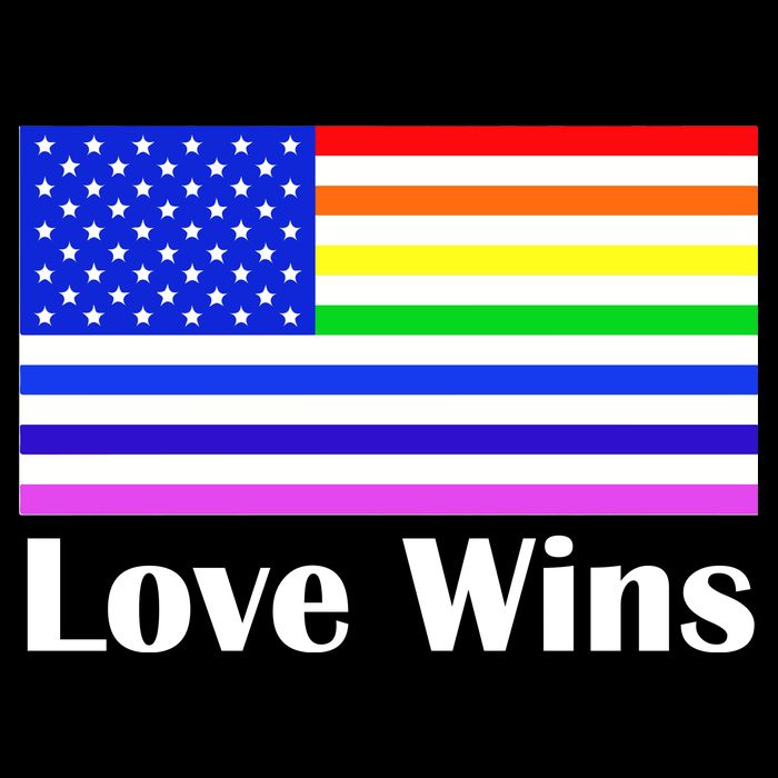 Love Wins Flag Gay Pride Tank Top