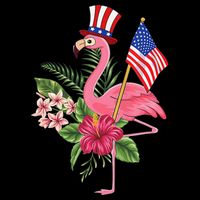 lamerica Patriotic 4th of July Flamingo American Cooling Performance Crew T-Shirt