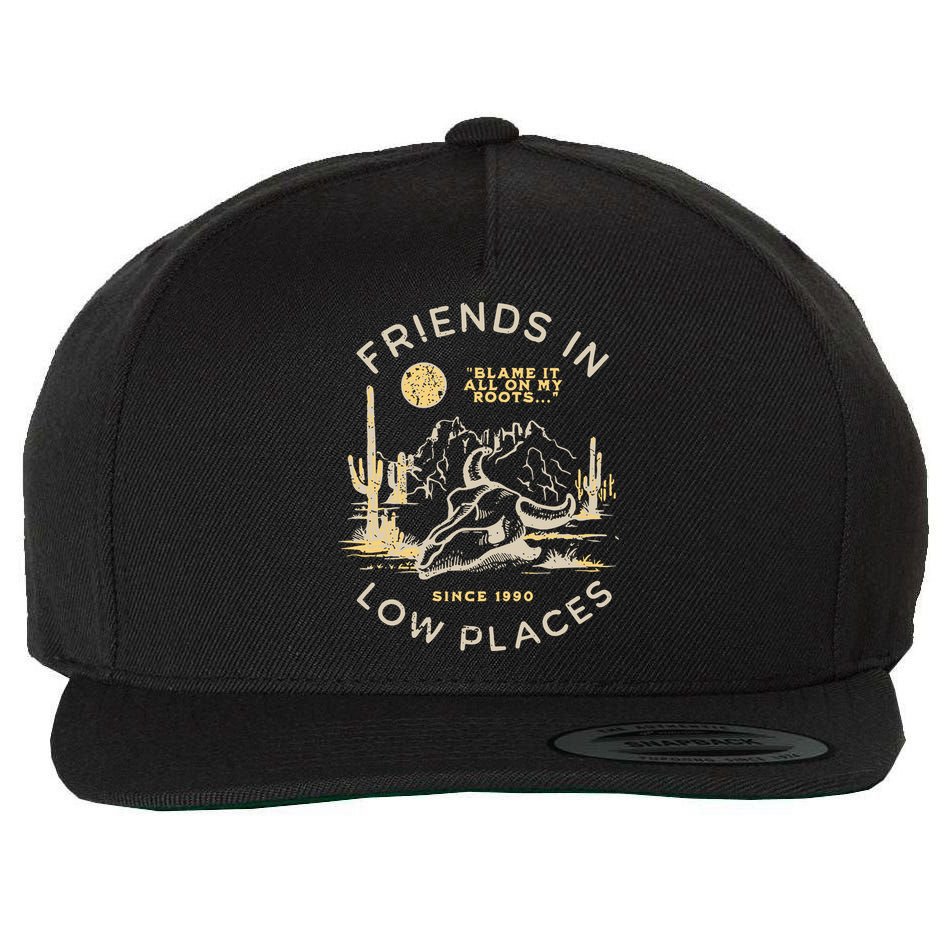 Low Places 90s Country Wool Snapback Cap
