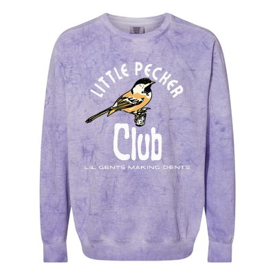 Little Pecker Club Colorblast Crewneck Sweatshirt