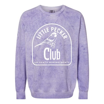 Little Pecker Club Colorblast Crewneck Sweatshirt