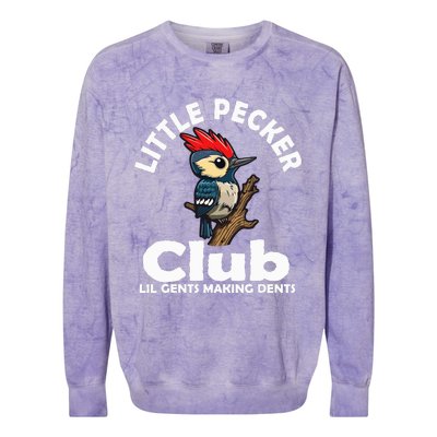 Little Pecker Club Lil Gents Making Dents Colorblast Crewneck Sweatshirt