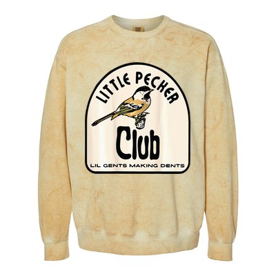 Little Pecker Club Colorblast Crewneck Sweatshirt