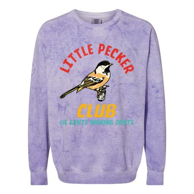 Little Pecker Club Lil Gents Making Dents Colorblast Crewneck Sweatshirt