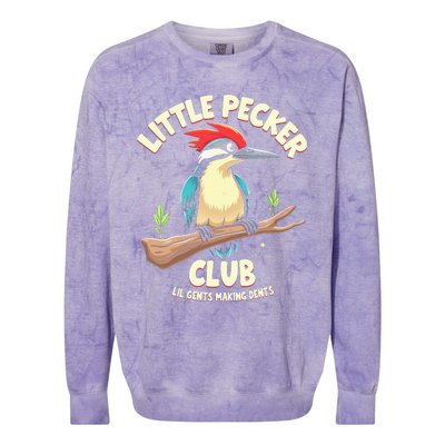 Little Pecker Club Lil Gents Making Dents Colorblast Crewneck Sweatshirt