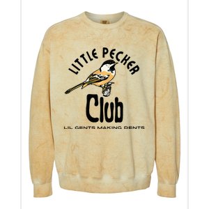 Little Pecker Club Colorblast Crewneck Sweatshirt