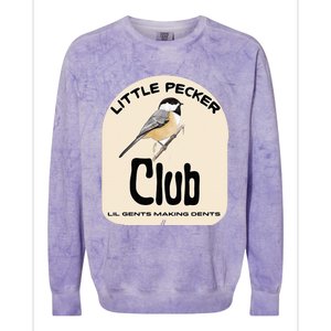 Little Pecker Club Colorblast Crewneck Sweatshirt