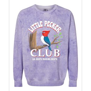 Little Pecker Club Colorblast Crewneck Sweatshirt