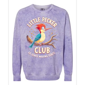 Little Pecker Club Colorblast Crewneck Sweatshirt