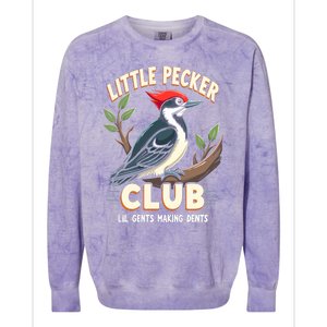 Little Pecker Club Colorblast Crewneck Sweatshirt