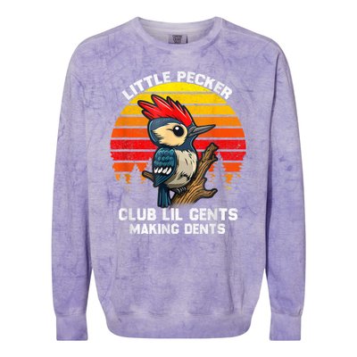 Little Pecker Club Lil Gents Making Dents Colorblast Crewneck Sweatshirt