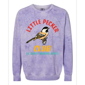 Little Pecker Club Lil Gents Making Dents Colorblast Crewneck Sweatshirt