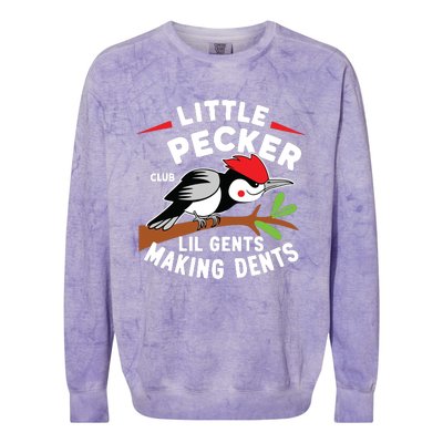 Little Pecker Club Lil Gents Making Dents Retro Woodpecker Colorblast Crewneck Sweatshirt