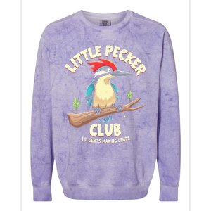 Little Pecker Club Lil Gents Making Dents Colorblast Crewneck Sweatshirt