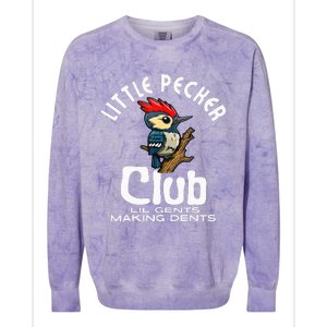 Little Pecker Club Lil Gents Making Dents Colorblast Crewneck Sweatshirt