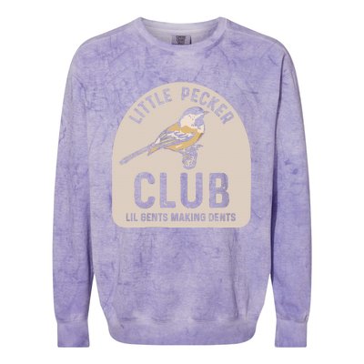 Little Pecker Club Lil Gents Making Dents Colorblast Crewneck Sweatshirt