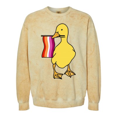 Lesbian Pride Duck Funny Lgbt Pride Colorblast Crewneck Sweatshirt