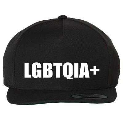 LGBBTQIA+ Plus Equality Funny LGBTQIA Wool Snapback Cap