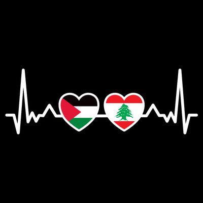 Lebanon Palestine Flag Lebanese Palestinian Unity Heartbeat T-Shirt
