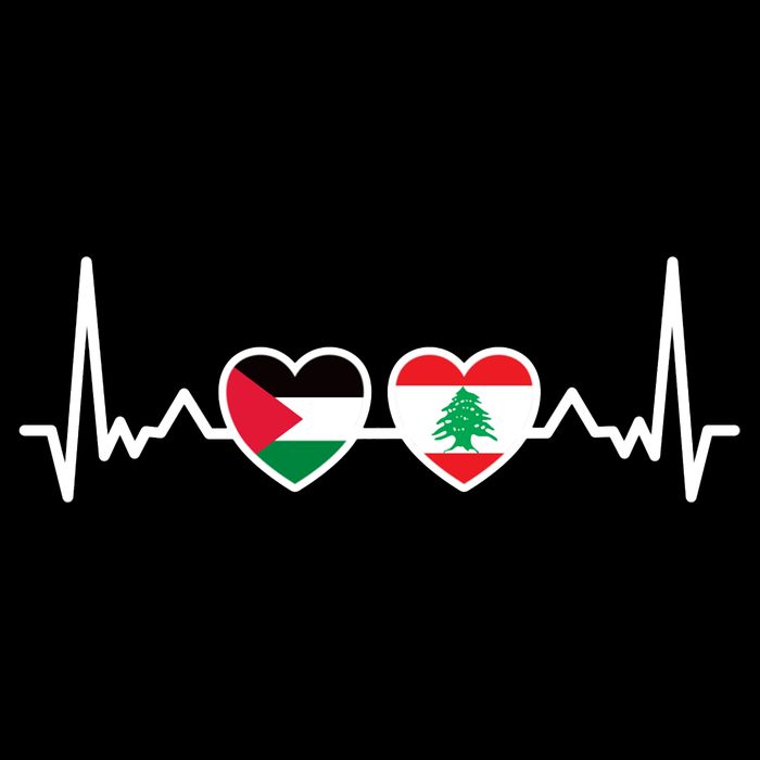 Lebanon Palestine Flag Lebanese Palestinian Unity Heartbeat Womens T-Shirt