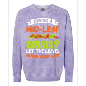 Leaf Peeping Fall Foliage Autumn Leaves Colorblast Crewneck Sweatshirt