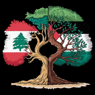 Lebanon Palestine Flag Lebanese Palestinian T-Shirt