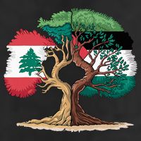 Lebanon Palestine Flag Lebanese Palestinian 11oz C Handle Ceramic Mug