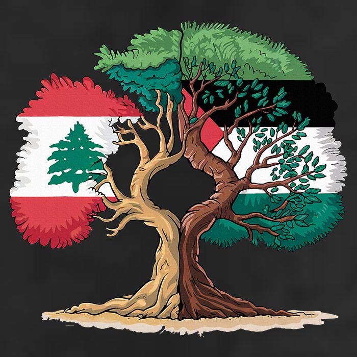 Lebanon Palestine Flag Lebanese Palestinian 11oz C Handle Ceramic Mug