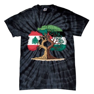 Lebanon Palestine Flag Lebanese Palestinian Tie-Dye T-Shirt