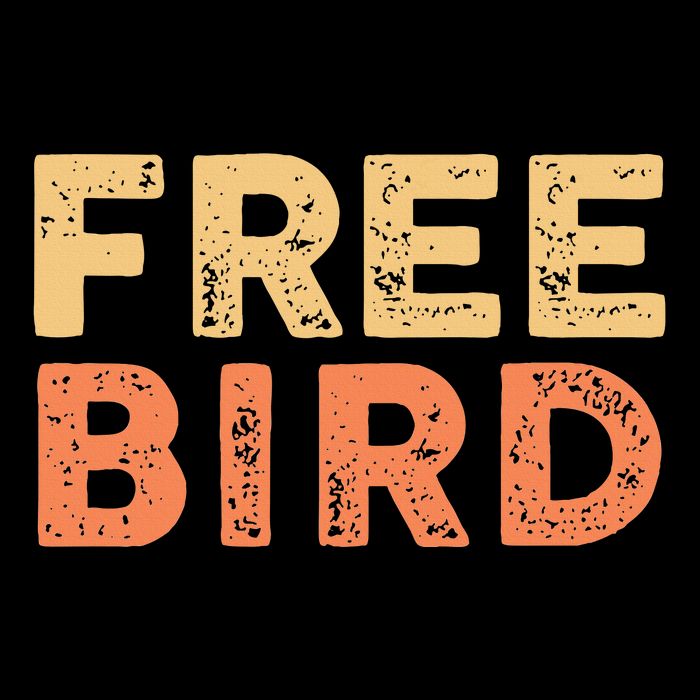 Lyriclyfe Popsocket F.R.E.E Bird By R.O.N.N.I.E Van Zant & A Collins Premium T-Shirt