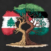 Lebanon Palestine Flag Lebanese Palestinian United Beanie
