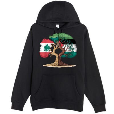 Lebanon Palestine Flag Lebanese Palestinian United Premium Pullover Hoodie